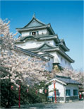 和歌山城(和歌山市)
