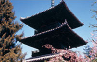 根来寺