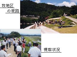 栄山寺橋橋