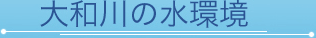 a̐