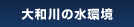 a̐