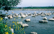 瀬・淵など多様な水域環境の保全・再生