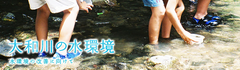 大和川の水環境