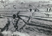 昭和7年2月4日　井戸の本付近の田畑地割れ