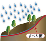 �@雨が降り、地中に浸みて粘土質の地層上に地下水が貯まる