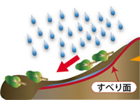 �Aさらに雨が降ることで、地中は水を含み重くなり、固いつるつるした地層の上の粘土質の地層が重さに耐えられずすべる