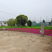 国府遺跡
