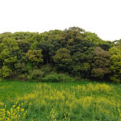 市野山古墳