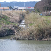 請堤(順慶堤)