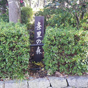 条里の森