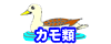 mJށn
