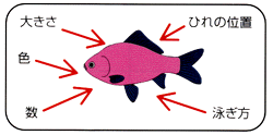 魚
